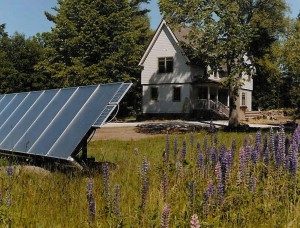 solar panels in foreground in field, building in background surrounded by tall trees.