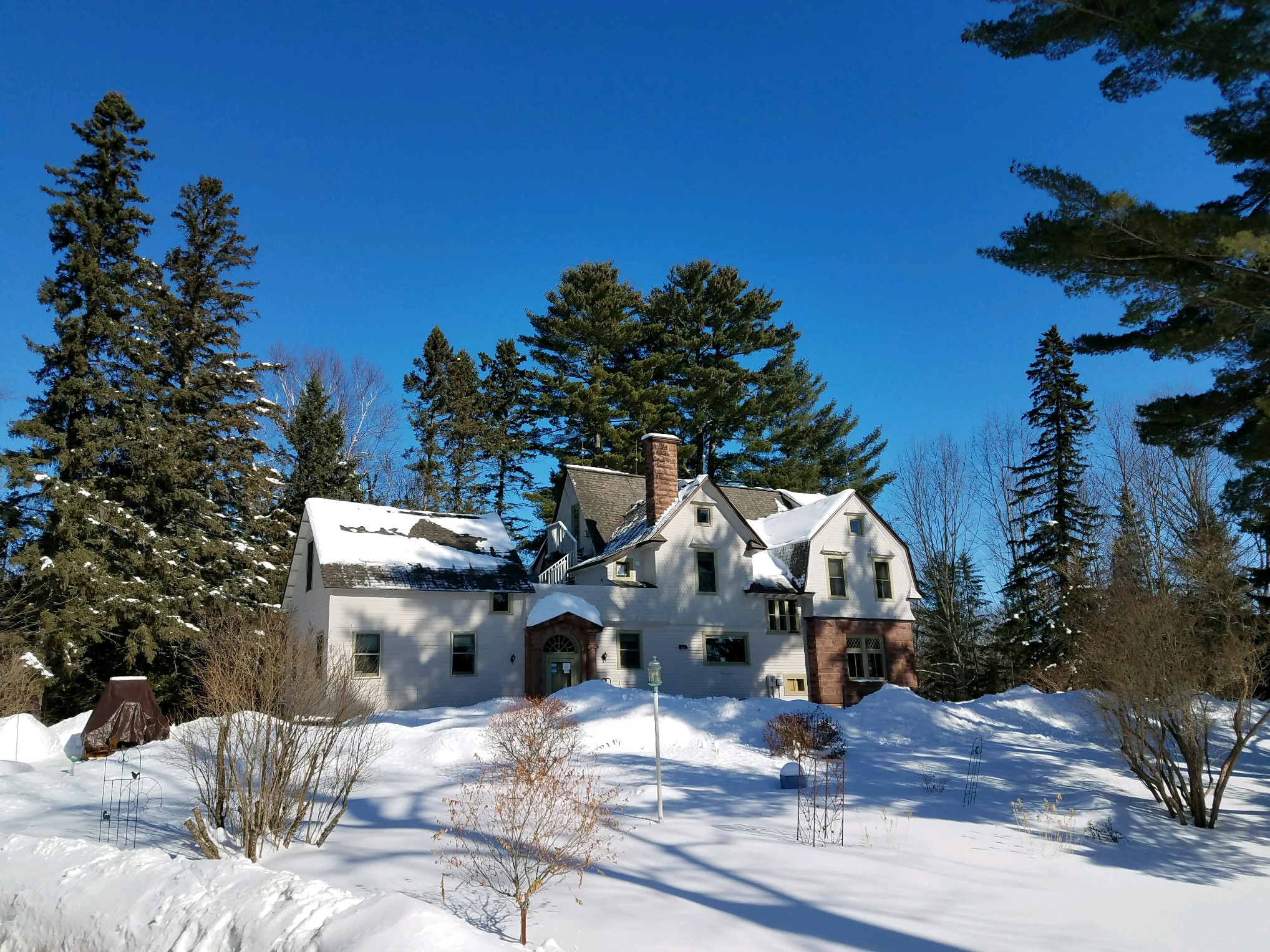 Main House on snow covered lot with towering green pine trees and deep blue sky