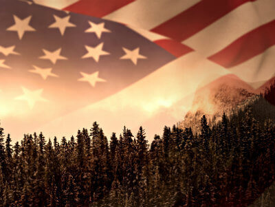 American flag image over a sunny sky above hundreds of pine trees