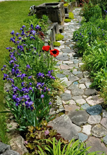 Stone path lined with green plants and purple and red flowers